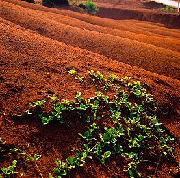 TGA2022：《猎天使魔女：起源》公开 2023年3月17日发售